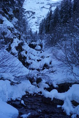 Fototapeta na wymiar winter trees in the snow