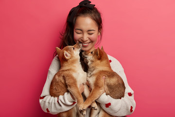 Human and animal friendship concept. Cheerful girl happy to get two pedigree puppies on her birthday, kisses pet, expresses sincere emotions, laugh and cuddle against rosy studio background.