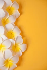 Foto op Plexiglas Frangipani plumeria bloemen op de gele achtergrond. Ruimte kopiëren. Bovenaanzicht. Tropische compositie. © zulfiska