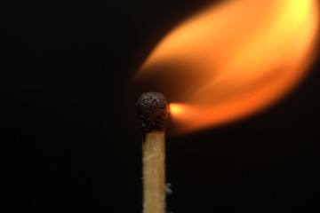 macro shooting of a match sulfur head fire