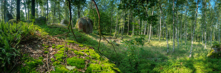 Celtic fairground in the summer in the Blockheide Nature Park in Gmünd in the Waldviertel