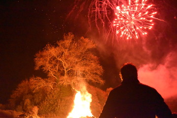 Fireworks in night sky