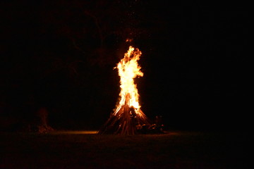 Fire in the woods