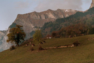 Heidiland - Sarganserland - Maienfeld -  Schweiz - Heididorf
