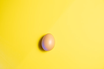 Fresh Easter Egg on a Yellow Background. Happy Easter