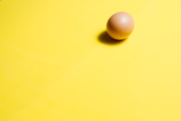 Fresh Easter Egg on a Yellow Background. Happy Easter