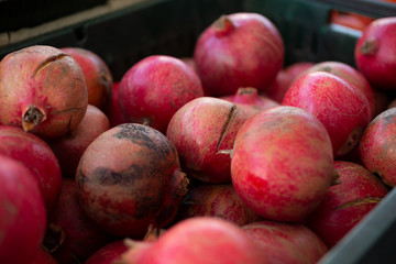A closeup look at several pomegranate fruit on display at a local farmers market.
