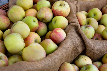 A view of several burlap sacks full of fuji apples on display at a local farmers market.