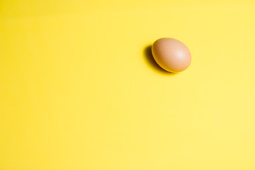 Fresh Easter Egg on a Yellow Background. Happy Easter