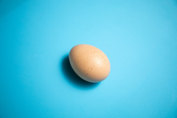 Fresh Easter Egg on a Blue Background. Happy Easter
