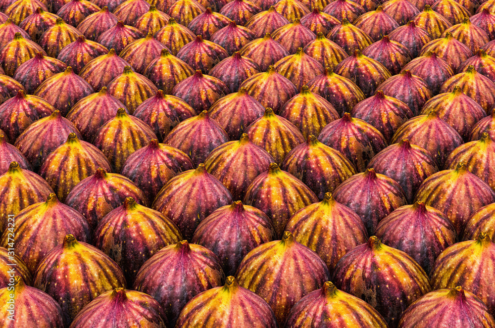 Poster background from common figs with realistic texture, 3d rendering