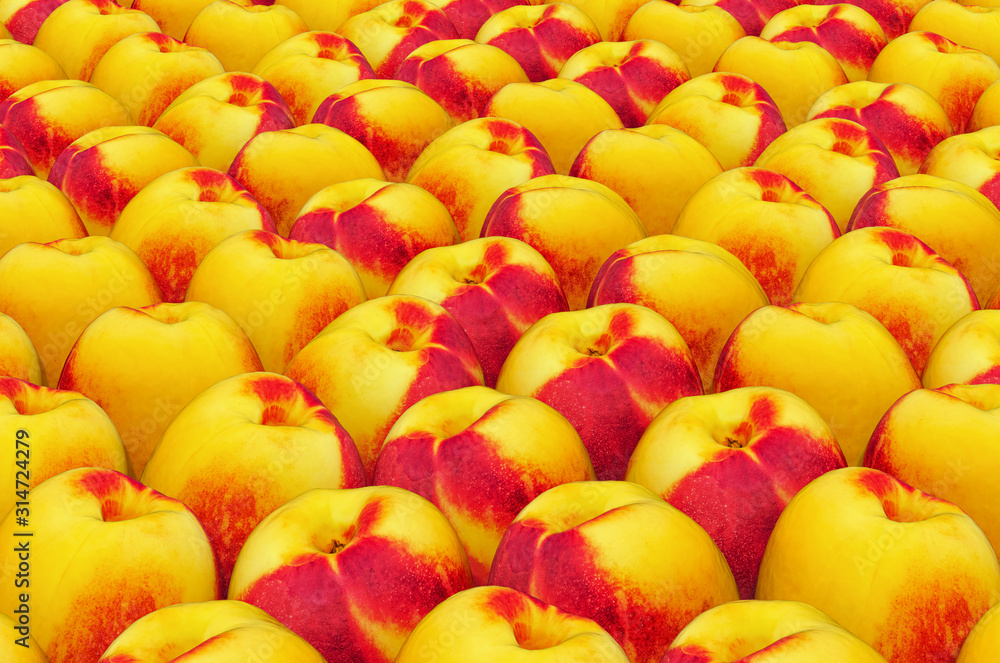 Poster background from nectarines with realistic texture, 3d rendering