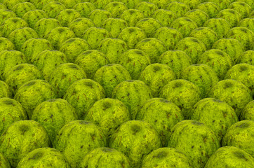 Fototapeta premium Background from guavas with realistic texture, 3D rendering