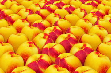 Background from nectarines with realistic texture, 3D rendering