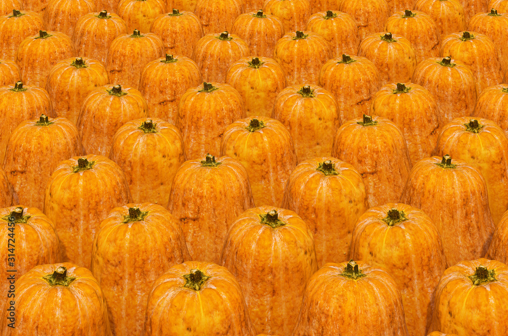 Poster background from squashs with realistic texture, 3d rendering