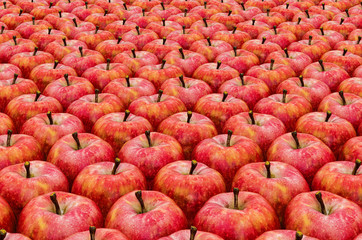 Background from red apples with realistic texture, 3D rendering