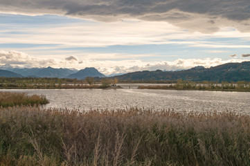 Laguna - Rheindelta - Fußach - Naturschutzgebiet