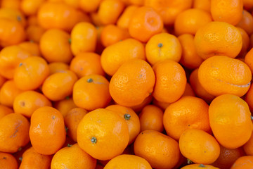 A closeup view of several kishu mini mandarin citrus fruit on display at a local farmers market. 