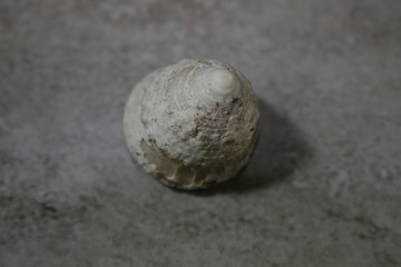ball on sand
