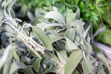 A closeup view of several bunches of sage on display at a local farmers market.