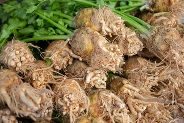 A view of several celery root and stalks on display at a local farmers market.