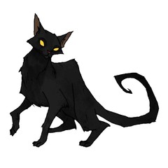 Black Cat