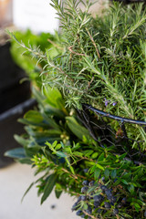 A closeup view of a basket full of several varieties of fresh herbs.