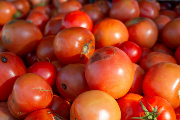 A background full of red ripe tomatoes.