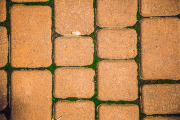paving texture background