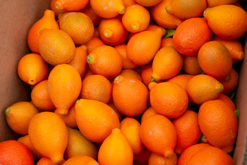 A box full of indio mandarinquat citrus fruit on display at a local farmers market.