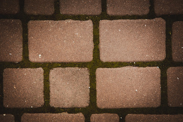paving texture background