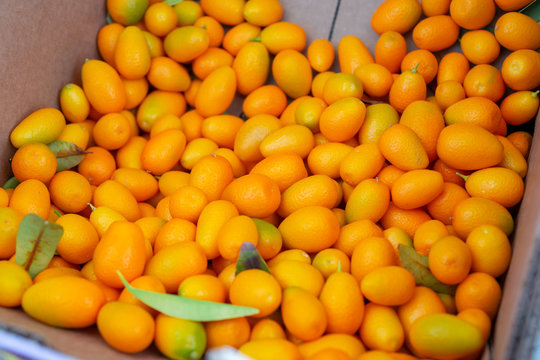 A box full of nagami kumquat citrus fruit on display at a local farmers market.