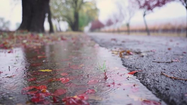panning into a road with heavy rain falling into a puddle