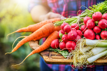 Fresh vegetables in woman hands on old wooden cut board. Healthy farmer food concept.