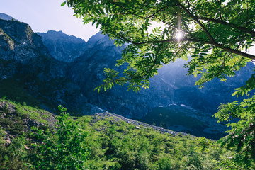 beautiful rocky mountains and tree branch with green leaves in t
