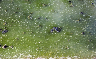 dirty poision water with chemical toxic