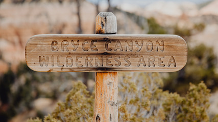 Randonner dans la nature à Bryce Canyon
