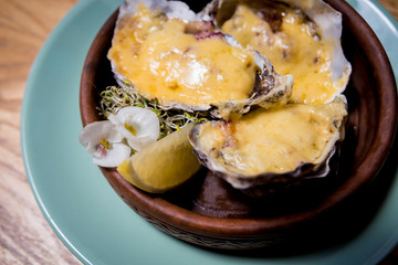 Fresh oysters under cheese on a plate with ice and flowers. Restaurant