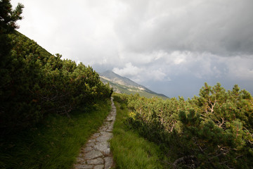 Fototapeta na wymiar High Tatras mountains in Slovakia landscape