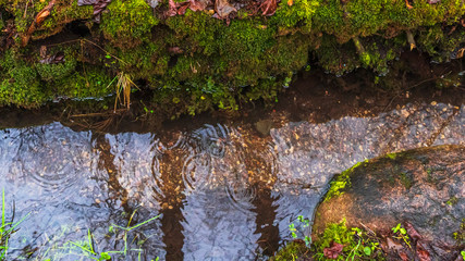 Texture of cold water, small stones and green moss in the stream. Abstract background.