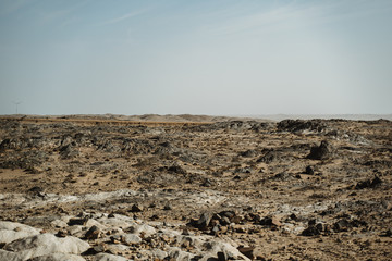 scenic desert scene in mild warm colors