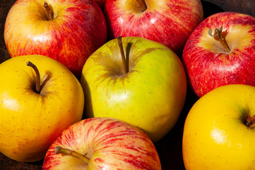 Panier de différentes variétés de pommes;  Basket of different varieties of apples