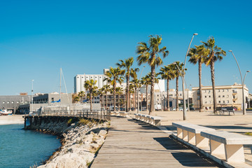 scenery. deserted promenade with benches and palm trees along the path © mnelen.com