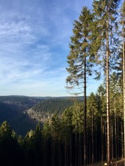 Blick zum Göritzberg