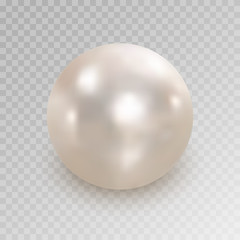 Realistic white pearl with shadow isolated on transparent background. Shiny oyster pearl for luxury accessories. Sphere shiny sea pearl. Beautiful natural white pearl. Shiny 3D jewel with light effect