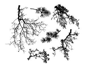 Set of natural tree branches silhouettes(vector illustration) eps10