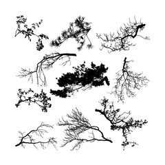 Set of natural tree branches silhouettes(vector illustration) eps10