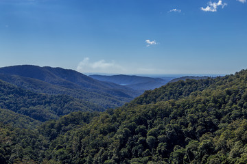 Obraz premium Beautiful summers day looking over lush green rainforest trees in summer at Queensland Australia