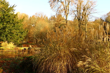 Herbst in einem kleinen Park in Illingen (Saar)