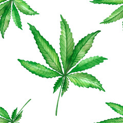 Watercolor hand painted nature seamless pattern with green hemp weed leaves on branch isolated on the white background, trendy medicine herbs composition for eco design elements
